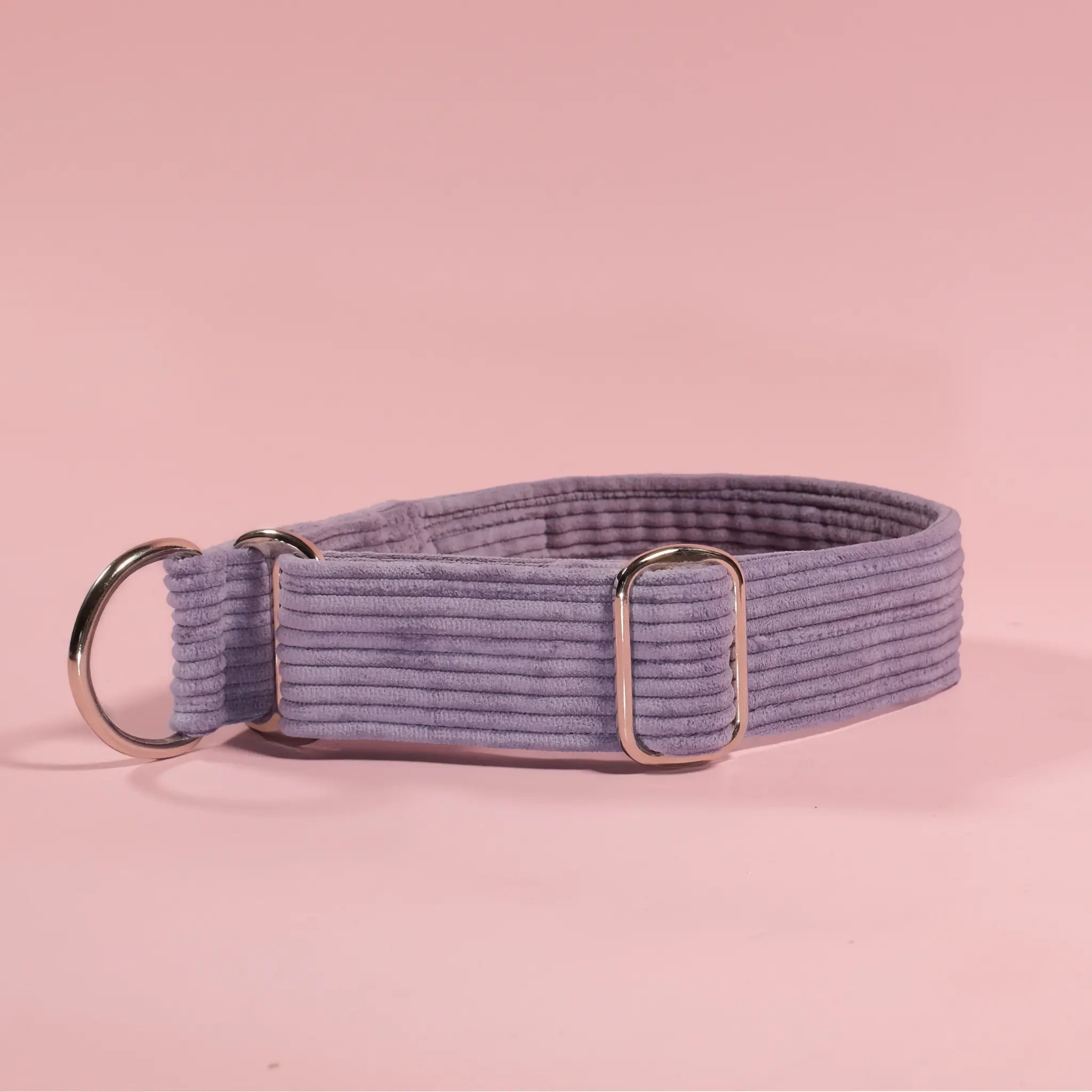 Obroża dla psa Półzacisk - Retro - DOGONI