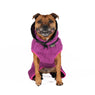Dog Bathrobe