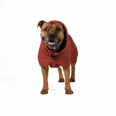 Termo winter dog jacket