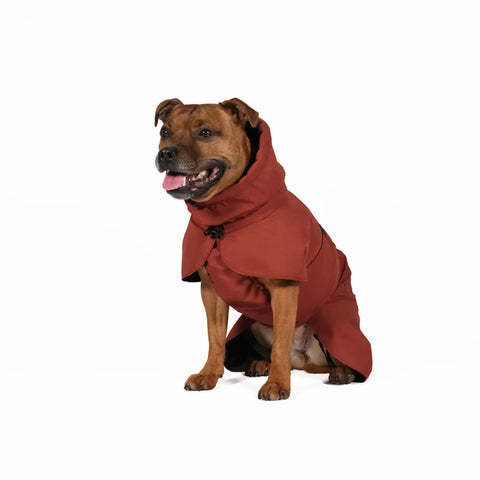 Termo winter dog jacket