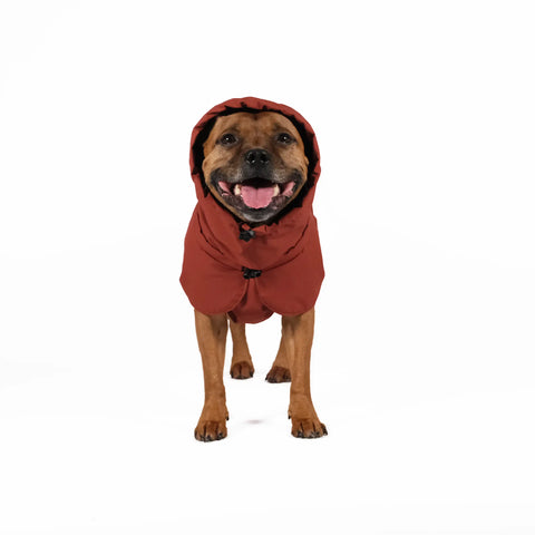 Termo winter dog jacket