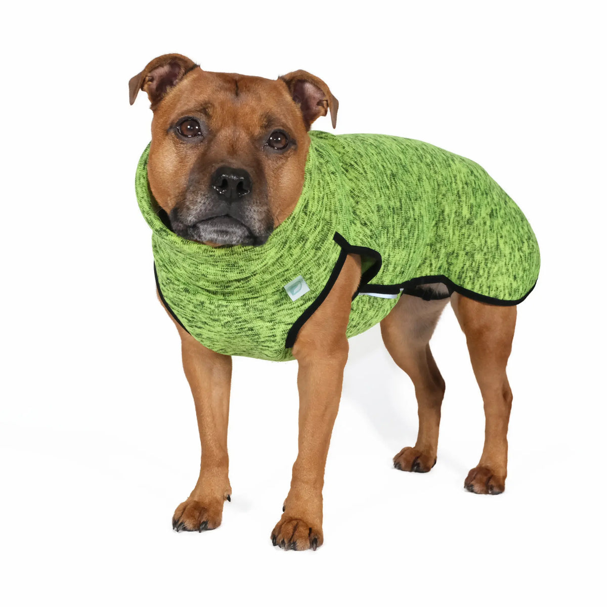 Dog turtleneck sweatshirt - M, L - UNISEX