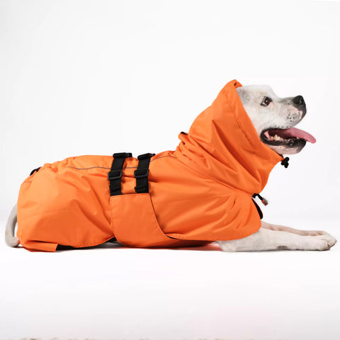 Dog Raincoat Limited