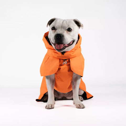 Dog Raincoat Limited