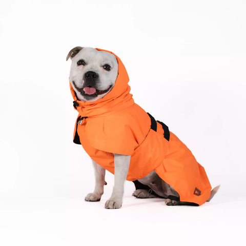 Dog Raincoat Limited