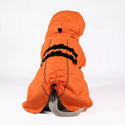 Dog Raincoat Limited