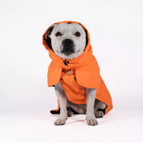 Dog Raincoat Limited