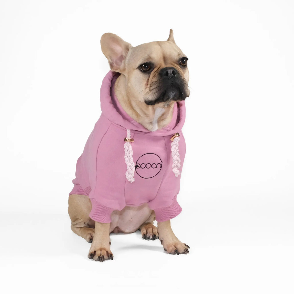 Dog Hoodie