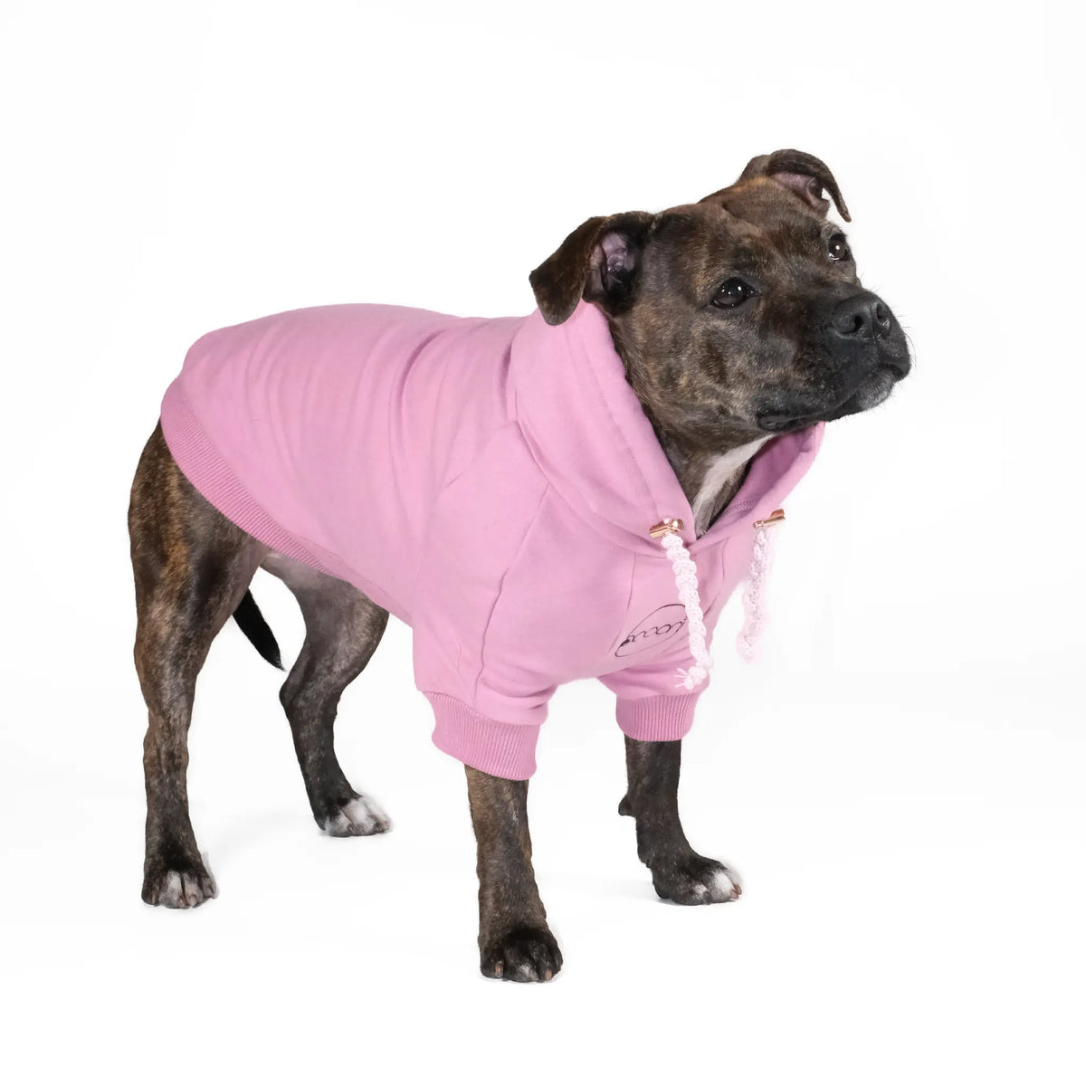 Dog Hoodie