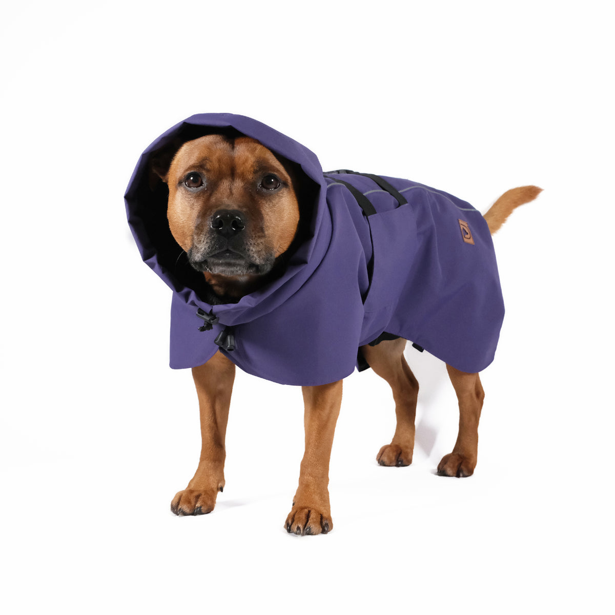 Termo winter dog jacket