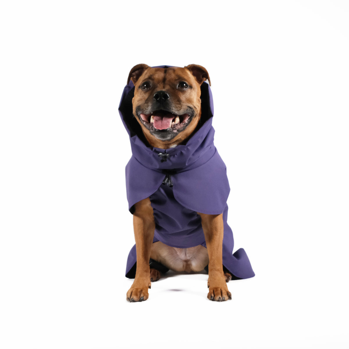 Dog Raincoat - UNISEX