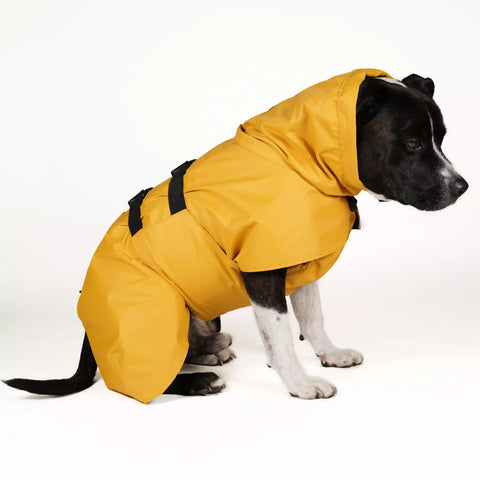 Dog Raincoat Limited