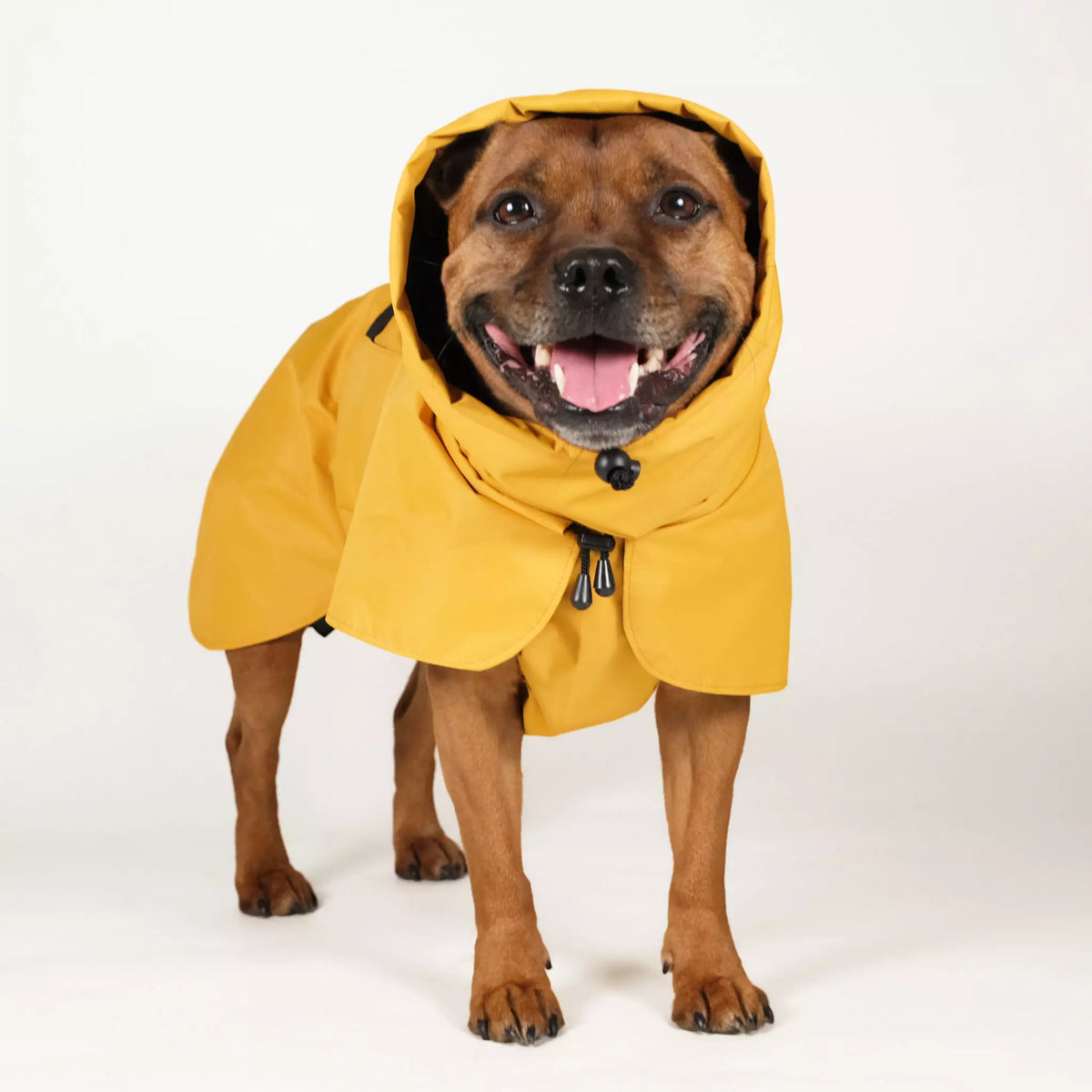 Dog Raincoat - UNISEX