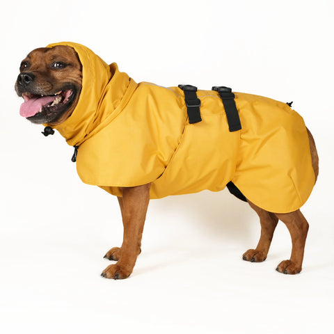 Dog Raincoat Limited