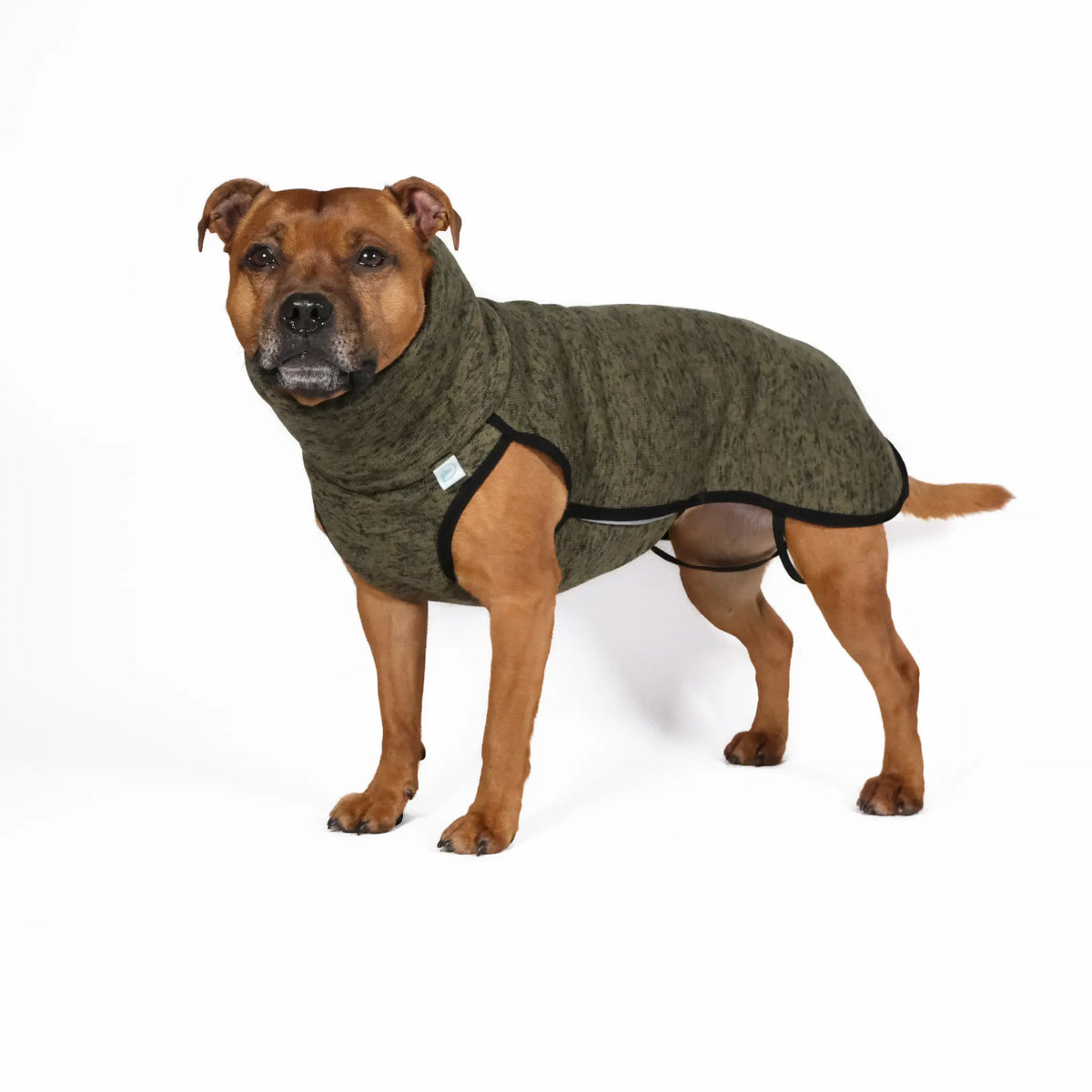 Dog Sweatshirt with Turtleneck