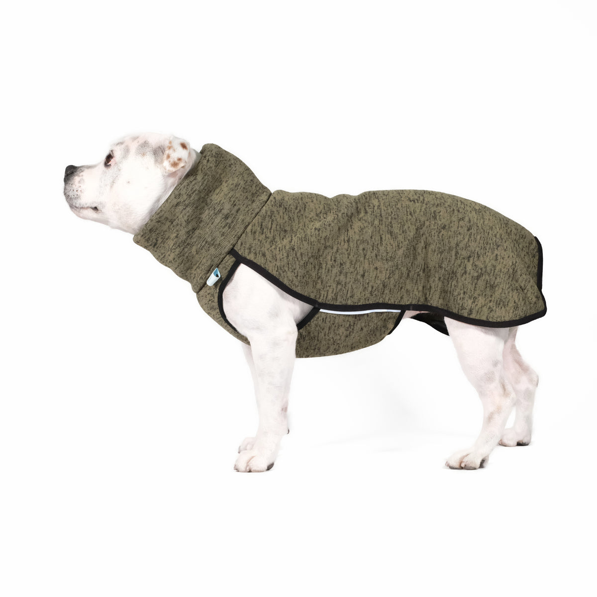 Dog Sweatshirt with Turtleneck