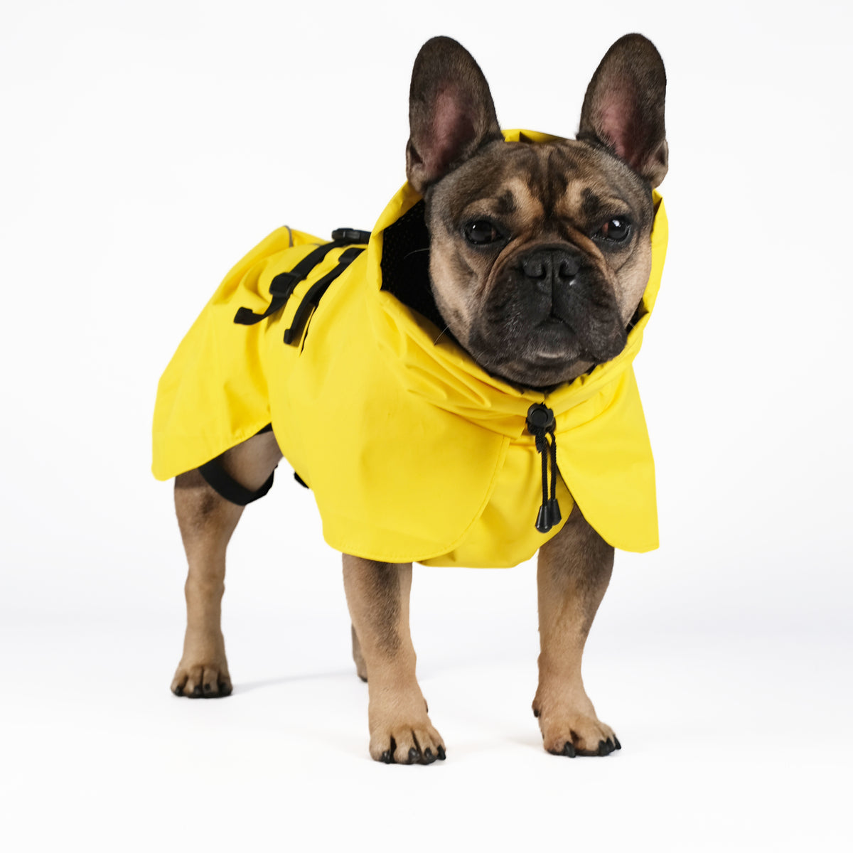 Płaszcz przeciwdeszczowy dla psa Limited