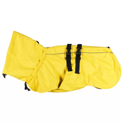 Dog Raincoat Limited