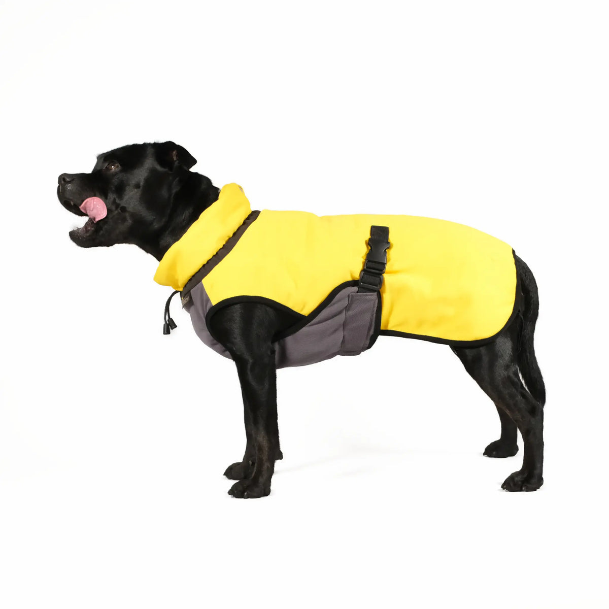 Cooling vest for dog