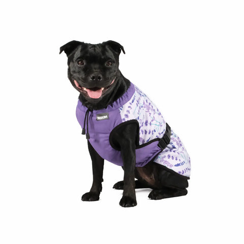 Dog Cooling Vest - Limited