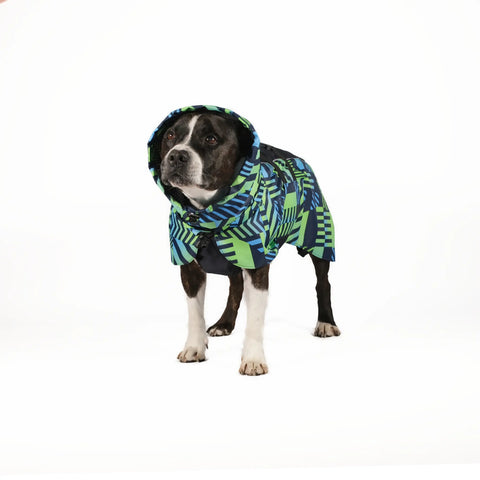 Dog Raincoat Limited