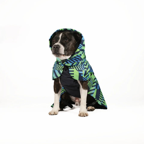 Dog Raincoat Limited