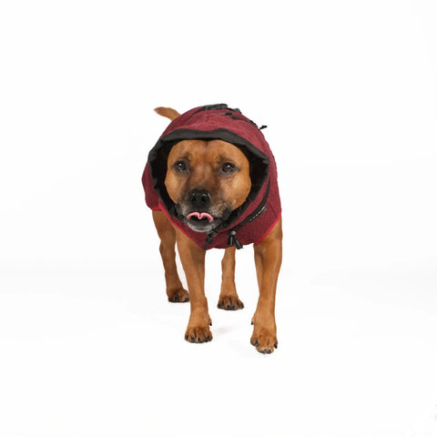 Dog Bathrobe - S-40 - UNISEX