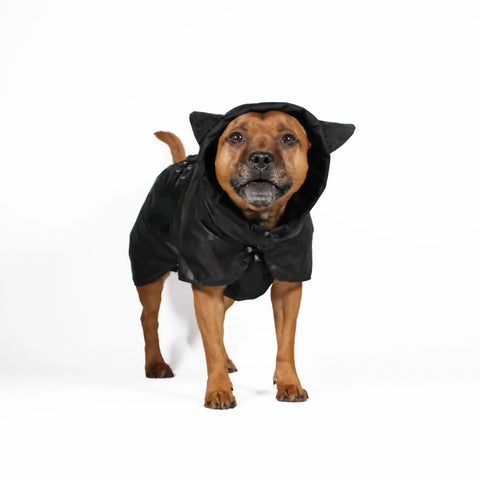 Dog Raincoat Ears - L-45 - UNISEX