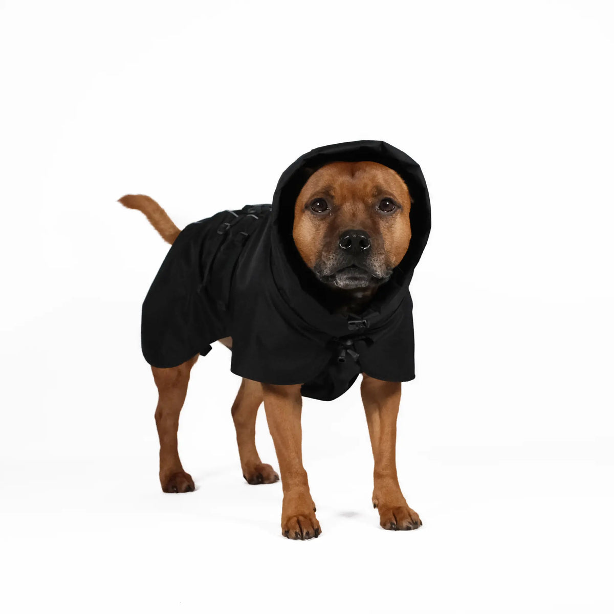Dog Raincoat - UNISEX