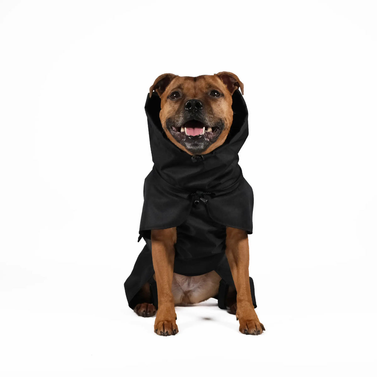 Classic Dog Raincoat - S-40, L-45