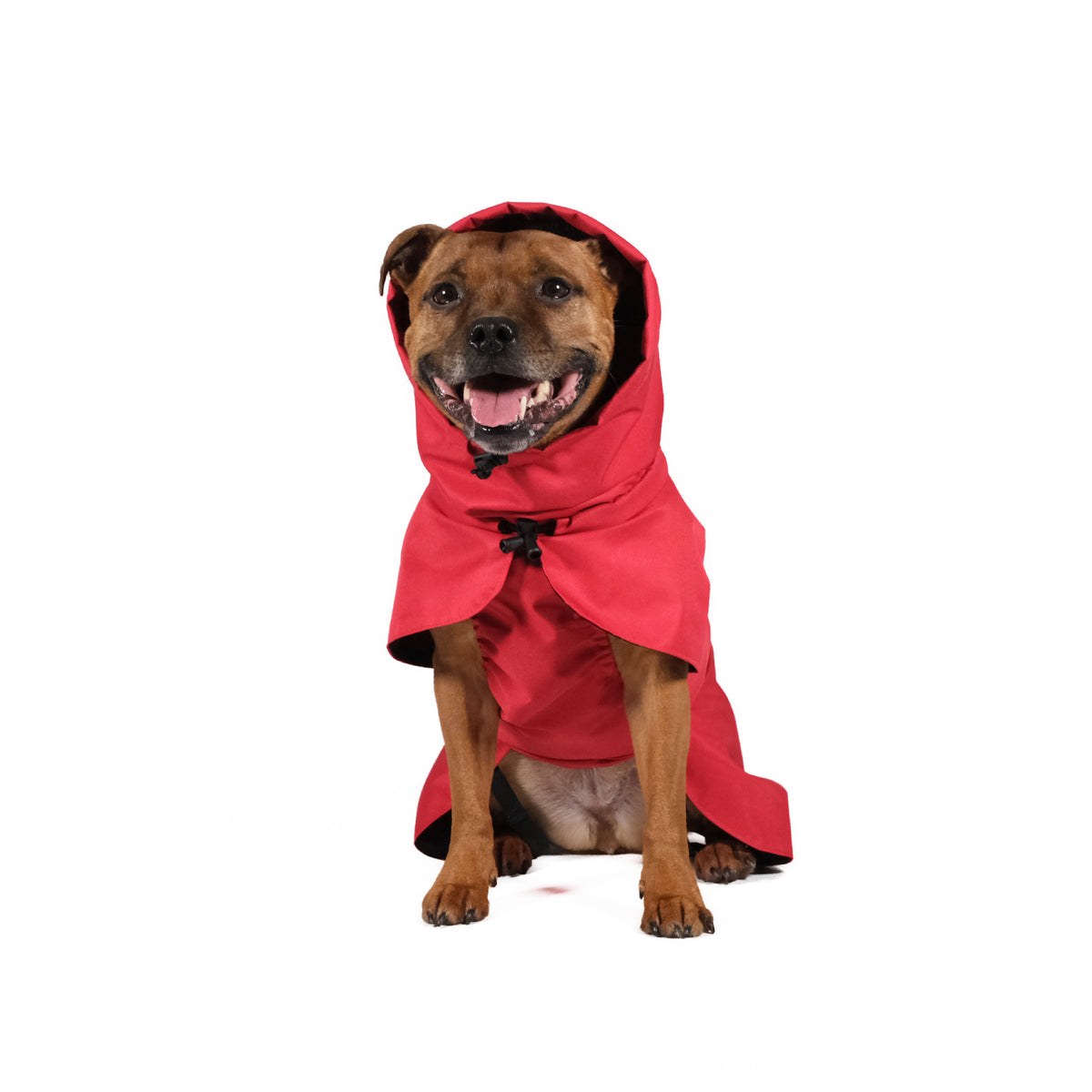 Classic Dog Raincoat