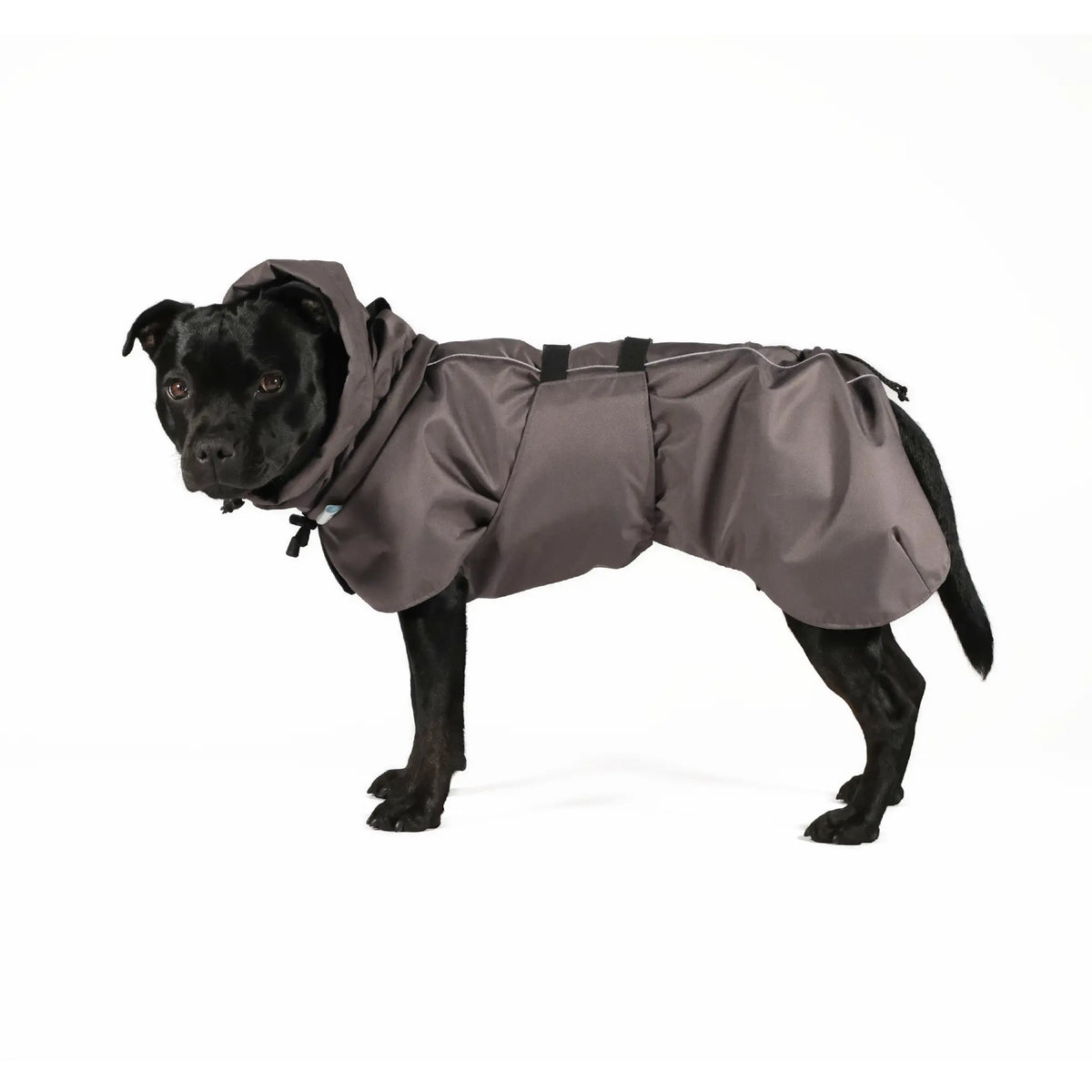 Classic Dog Raincoat - S-40, L-45