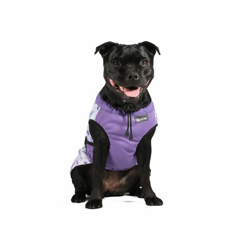 Dog Cooling Vest - Limited