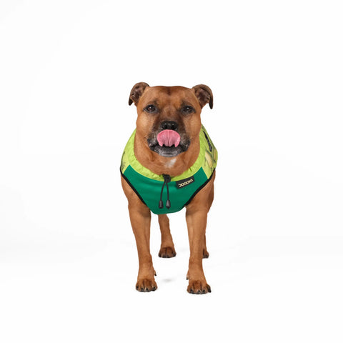 Dog Cooling Vest - Limited