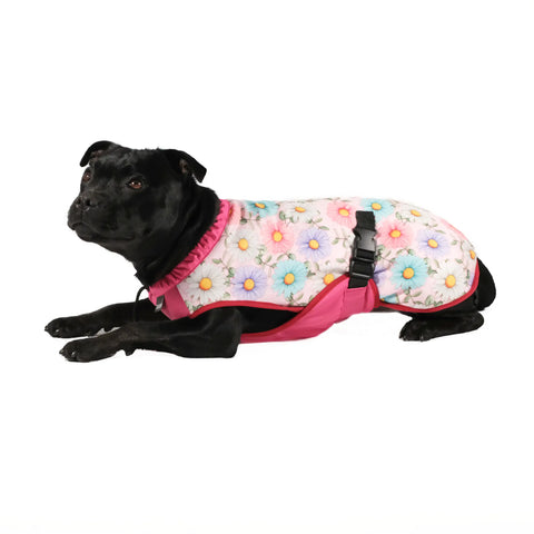 Dog Cooling Vest - Limited