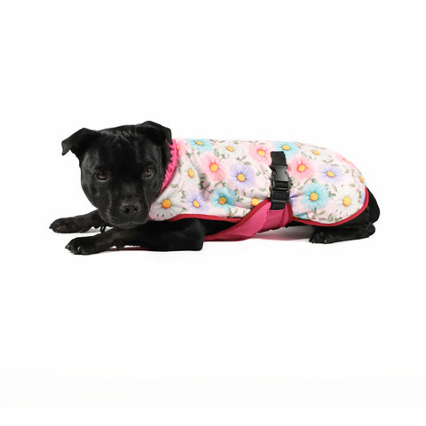 Dog Cooling Vest - Limited