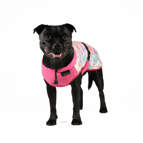 Dog Cooling Vest - Limited