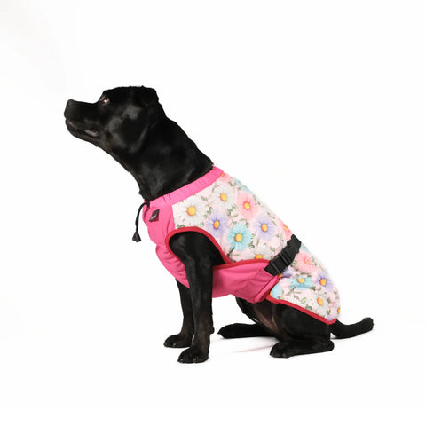 Dog Cooling Vest - Limited