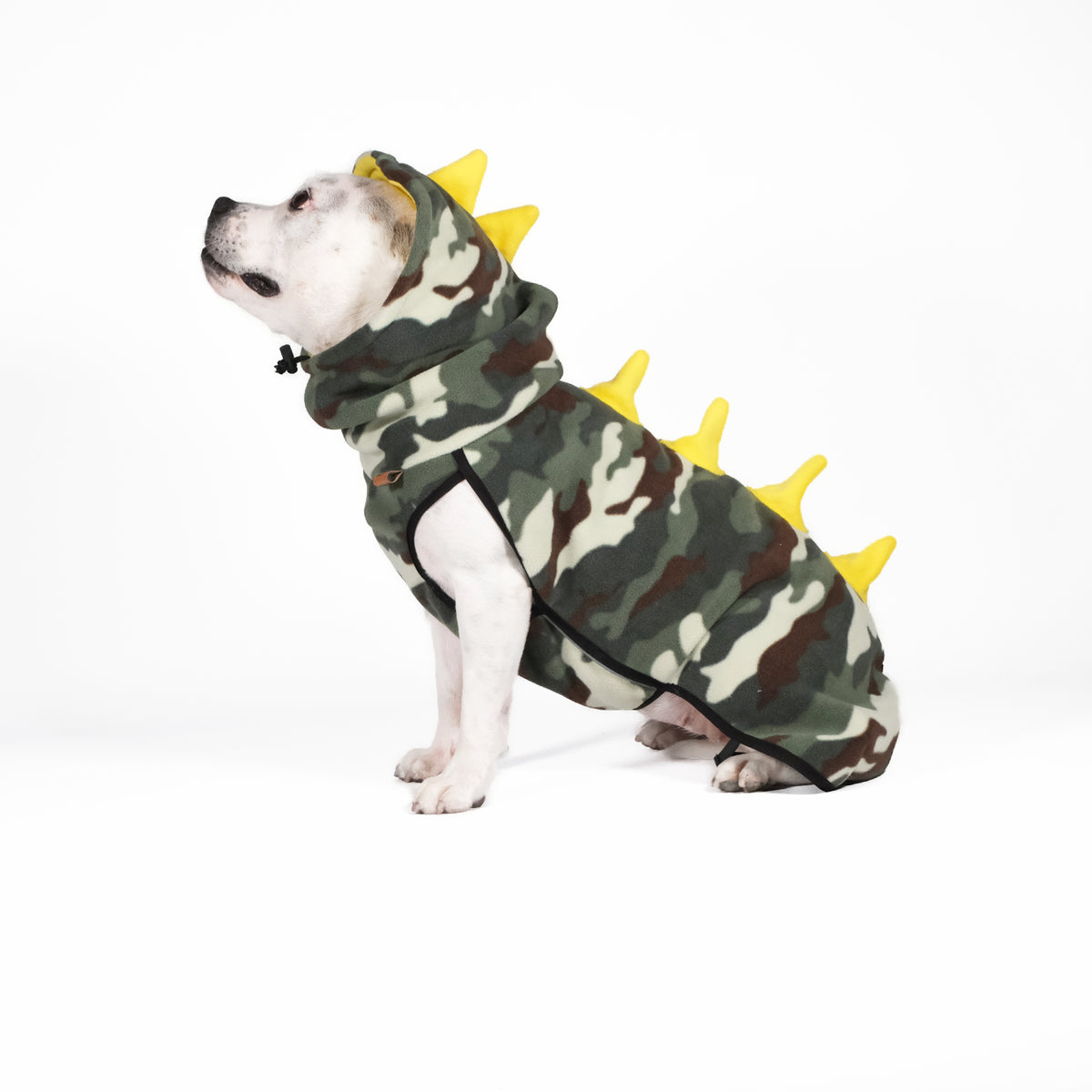 Dog Fleece - DINO