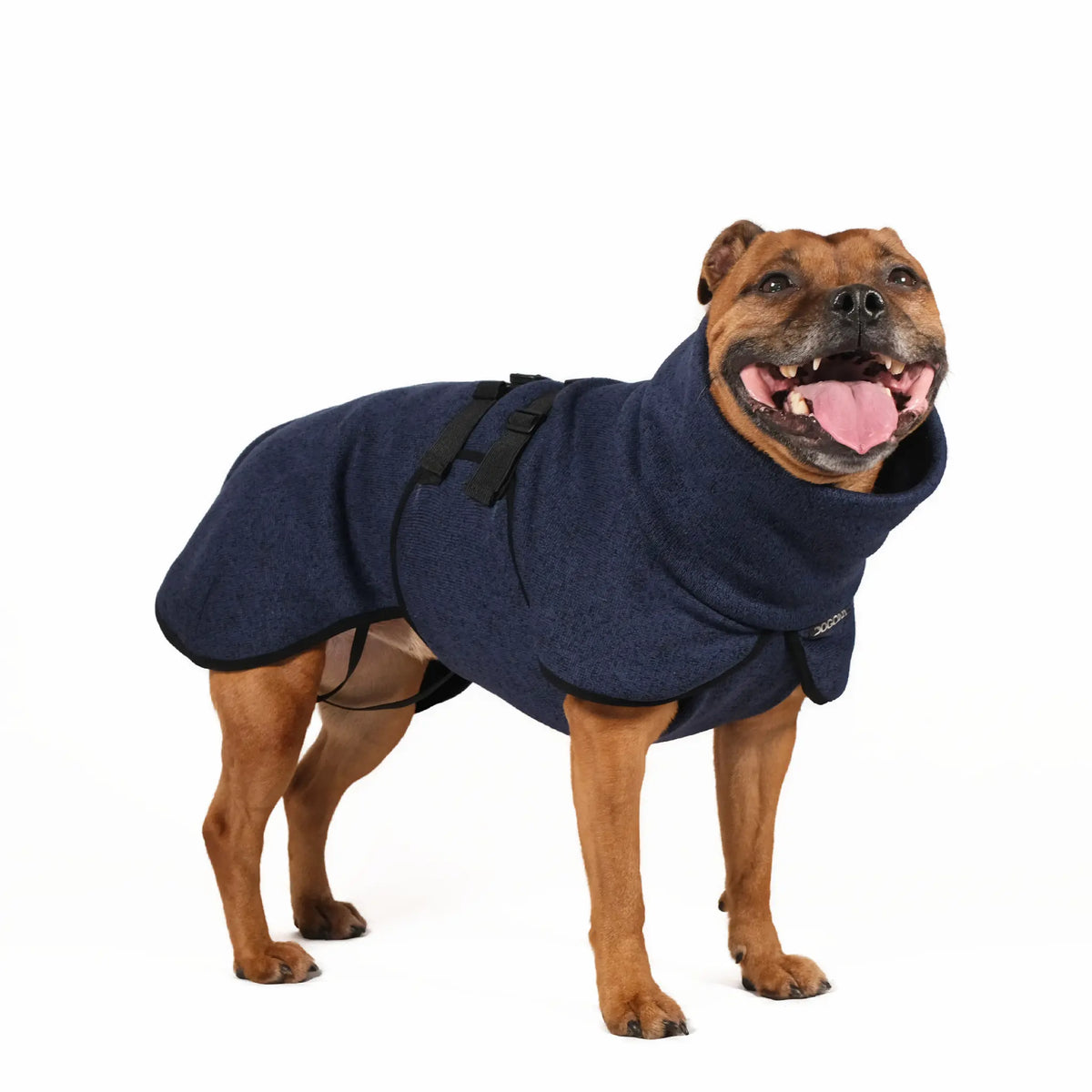 Dog Sweatshirt with Turtleneck