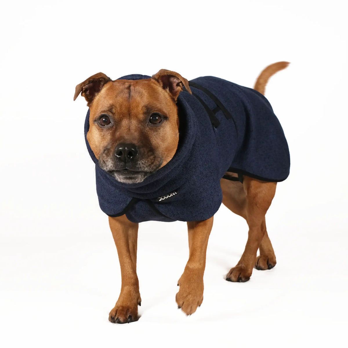 Dog Sweatshirt with Turtleneck