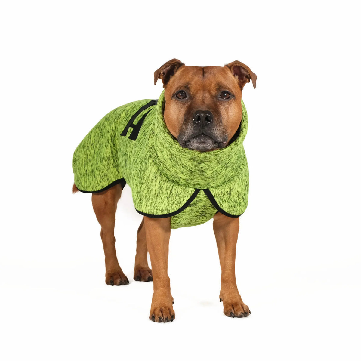 Dog Sweatshirt with Turtleneck