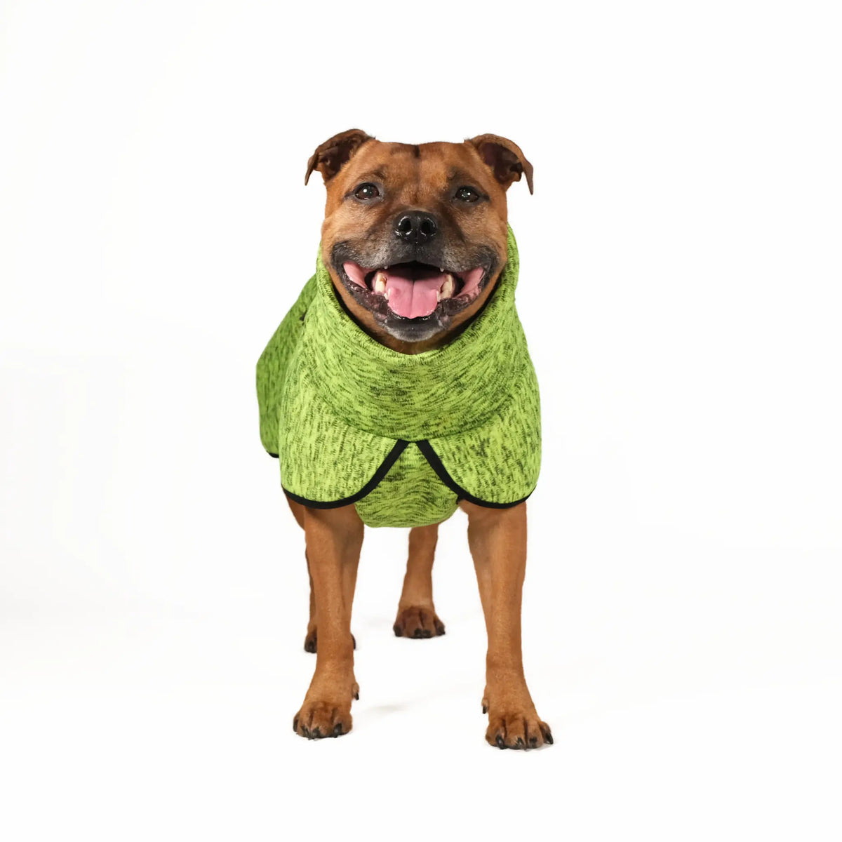 Dog Sweatshirt with Turtleneck