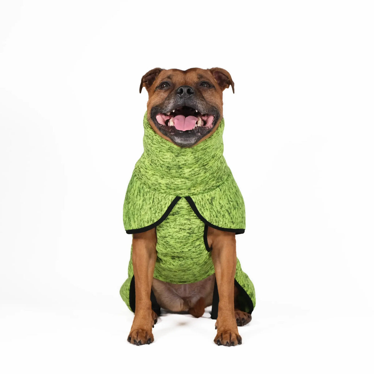 Dog Sweatshirt with Turtleneck