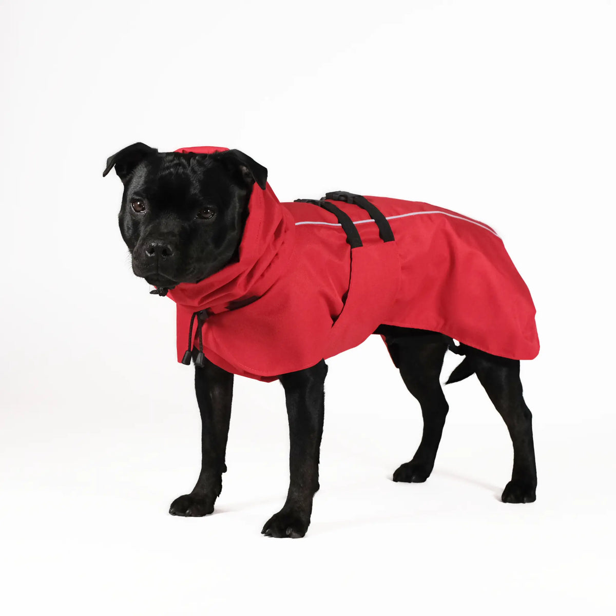 Termo winter dog jacket