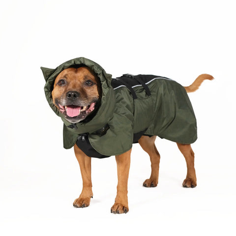 Dog Raincoat Ears - UNISEX