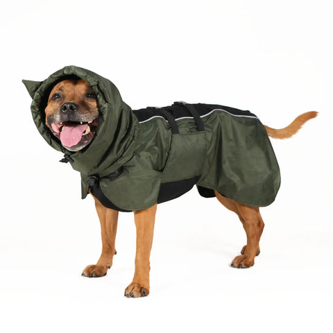 Dog Raincoat Ears - UNISEX