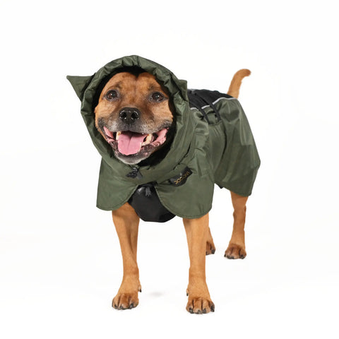 Dog Raincoat Ears - UNISEX