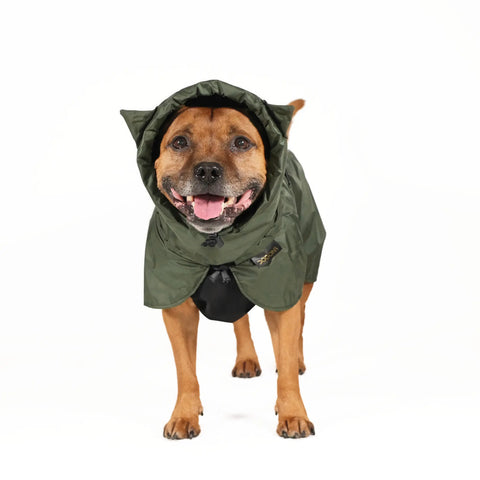 Dog Raincoat Ears - UNISEX