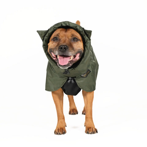 Dog Raincoat Ears - UNISEX